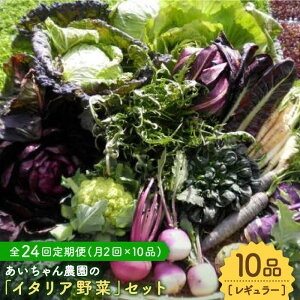 yӂ邳Ɣ[Łzy10i×24ցz_ɗȂIJ_ɂ₳uC^A؁vZbgiM[jyg샖_z[FAA019]