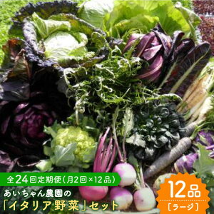 yӂ邳Ɣ[Łzy12i×24ցz_ɗȂIJ_ɂ₳uC^A؁vZbgi[Wjyg샖_z[FAA023]