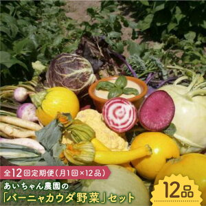 yӂ邳Ɣ[Łzy12i×12ցzuo[jJE_ȂǂɁv_ɗȂIJ_ɂ₳؂̋lߍ킹yg샖_z[FAA030]