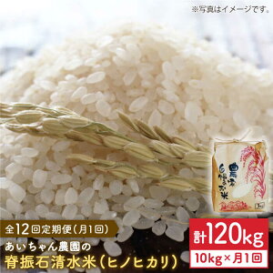 yӂ邳Ɣ[Łzy10kg×12ցzҐUΐāiqmqJj10kgy_z [FAA042]