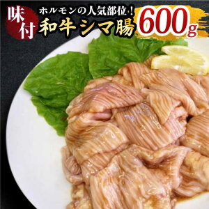 yӂ邳Ɣ[ŁzvvŖ킢[IzX̖taV}600g (3`4lO) z V} ē Ă ȒP BBQ pbN Ⓚ YyOczXz [FAC008]