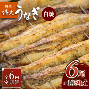 yӂ邳Ɣ[ŁzӂW[V[̂肤Ȃy6ցzYȂ̔ 6Zbg×6yۈz [FAD019]