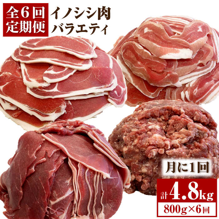 安心安全な処理を施した美味しい猪肉です ふるさと納税 ≪脊振ジビエ≫イノシシ肉バラエティ6回定期便 総量4.8kg 新色 ラッピング無料 幸ちゃん ブイマート FAL057