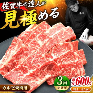 yӂ邳Ɣ[ŁzyS3ցz]! ꋍ Jr 600g    g샖/~[gt[Y؏[FAY102]