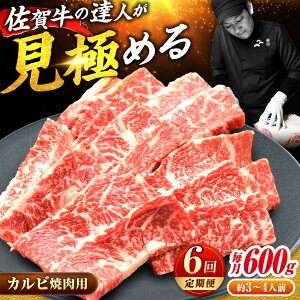 yӂ邳Ɣ[ŁzyS6ցzꋍ ēp Jr 600g | ] ē BBQ o[xL[ Ă  | g샖/~[gt[Y؏[FAY103]