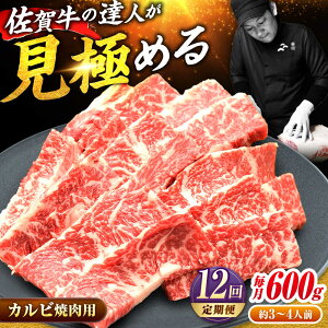 yӂ邳Ɣ[ŁzyS12ցz]! ꋍ Jr 600g    g샖/~[gt[Y؏[FAY104]