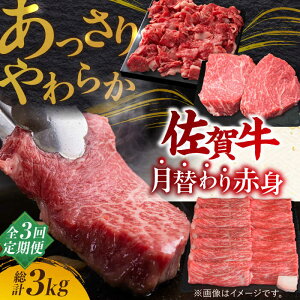 yӂ邳Ɣ[ŁzyS3ցzō̋wV[Ɋ\ A4 A5 ꋍ  Ԑg  3,000g v3kgy~[gt[Y؏z [FAY019]