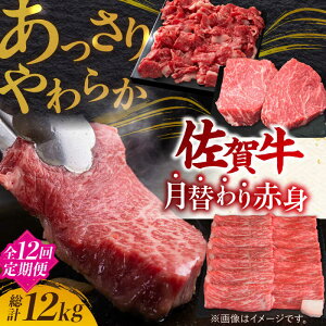 yӂ邳Ɣ[Łzyr[Ly[JÒIzyS12ցzō&wV[ ꋍԐg  v12kg A4 A5|  ꋍ  Ԑg |g샖/~[gt[Y؏[FAY021