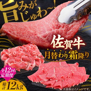 yӂ邳Ɣ[ŁzyS12ցz|݂` A4 A5 ꋍ ~ 12,000g v12kg g샖/~[gt[Y؏ [FAY024]