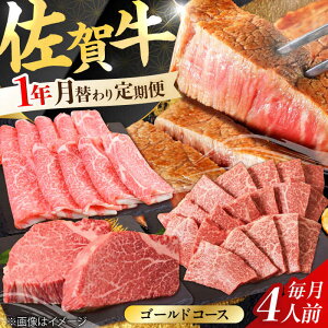 yӂ邳Ɣ[ŁzyS12ցzA4 A5  ꋍ S[hR[X 15,200g 15.2kgIy~[gt[Y؏z [FAY040]