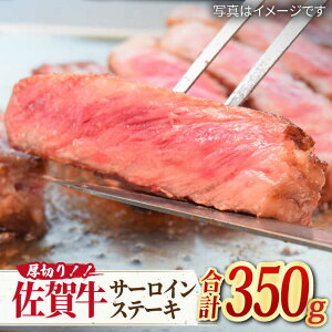 yӂ邳Ɣ[ŁzygbvNX̍јazA4 A5 Iꋍ؂T[CXe[L350g×1 g샖/~[gt[Y؏ [FAY044]