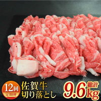【ふるさと納税】A4 A5 美味しいお肉をたくさん！＜12回定期便！1年間...
