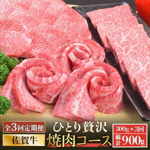 yӂ邳Ɣ[ŁzyS3ցzꋍ󏭕ʁ`ЂƂґēR[X` v/N/gEKV/Uug/JCm~Ȃǁy~[gt[Y؏z uh  a ~ BBQ 炩 
