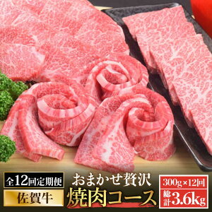 yӂ邳Ɣ[Łz12ցꋍ󏭕ʊ܂ށ`ЂƂґēR[X` v/N/gEKV/Uug/JCm~Ȃǁy~[gt[Y؏z uh  a ~ BBQ 炩