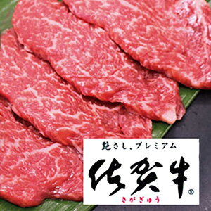 yӂ邳Ɣ[Łzꋍ v؂300gyt[z[FAZ032]