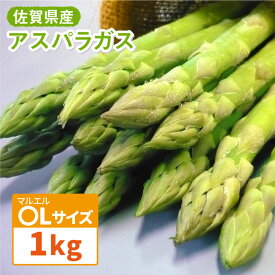 【ふるさと納税】先行予約！受付は3/10まで！【26年3月中順次発送】アスパラガス 春芽 1kg（〇Lサイズ）吉野ケ里町/JAさが [FBE017]