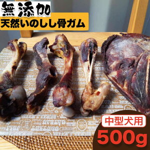 yӂ邳Ɣ[Łz^pYEVR̂K500gib͞􍜁j g샖/܂Â [FBK045]