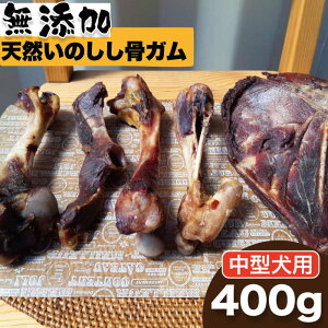 yӂ邳Ɣ[Łz^pYEVR̂K400giڍ܂j g샖/܂Â [FBK046]