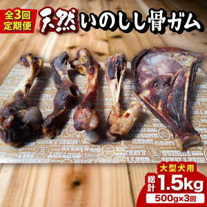 yӂ邳Ɣ[ŁzyS3ցz^pX[L[ȍ肪H~IVR̂K500g v1.5kgiڍ܂j g샖/܂Â [FBK050]