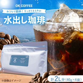 【ふるさと納税】おうちで簡単♪水出しコーヒー 自家焙煎オリジナル ブレンド 「THE BEST」40g×4袋 OK COFFEE Saga Roastery/吉野ヶ里町[FBL097]