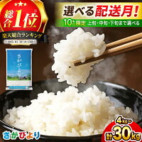 【ふるさと納税】総合1位獲得！さがびより 選べる容量・配送月 4kg/5k...