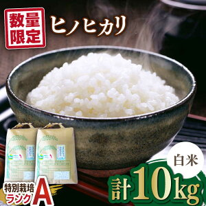 yӂ邳Ɣ[ŁzyʌzꌧY ʍ͔|āiANjqmqJyāz5kg×2 v10kgZbg g샖/܂̉[FBO007]