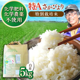 【ふるさと納税】【数量限定】佐賀県産 特別栽培米（Aランク）さがびより【白米】5kg×1袋 吉野ヶ里町/種まきの会 [FBO016]