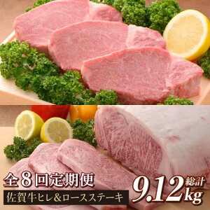 yӂ邳Ɣ[ŁzyS8ցzꋍqXe[L[XXe[L v9.12kg ΊېHYƊ/g샖 [FBX022]