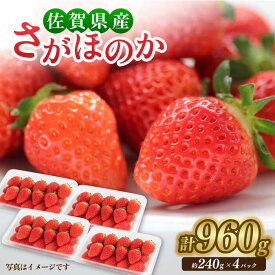 【ふるさと納税】【1月中旬〜3月中旬発送】みずみずしい果肉！さがほのかレギュラーパック4P 240g×4 いちご 佐賀県産 イチゴ 佐賀 吉野ヶ里町/リエンサーク [FCC001]