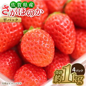 yӂ邳Ɣ[Łzy1{`3{z݂݂ʓIق̂pbN4P 1kg  ꌧY ꌧ C`S pbN g샖/GT[N   C`S ʕ t[c 