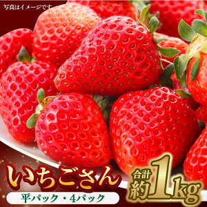 yӂ邳Ɣ[Łzy1{`2{z₳킢I pbN×4P 1kg  C`S ꌧY ꌧ  pbN g샖/GT[N [FCC003]