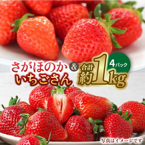 yӂ邳Ɣ[Łzy1{`2{zꌧ2Iق̂ pbN4P 1kg  ʕ { C`S ꌧY Y  g샖/GT[N [FCC004]