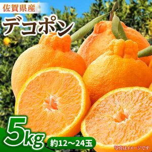 yӂ邳Ɣ[Łzy1{`3{EoX̗ǂ_ƊÖzꌧYufR|v5kg g샖/GT[N [FCC007]