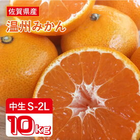 【ふるさと納税】【10月上旬〜1月上旬発送】こたつで美味しいみかんを♪ 佐賀県産 中生みかん 10kg 吉野ヶ里町/リエンサーク [FCC009]