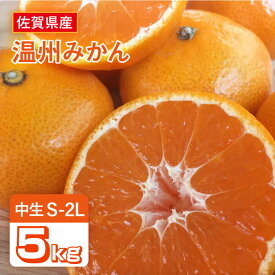 【ふるさと納税】【10月上旬頃～1月上旬発送】こたつで美味しいみかんを♪ 佐賀県産 中生みかん 5kg / ミカン 蜜柑 果物 くだもの フルーツ 柑橘 /吉野ヶ里町/リエンサーク [FCC010]