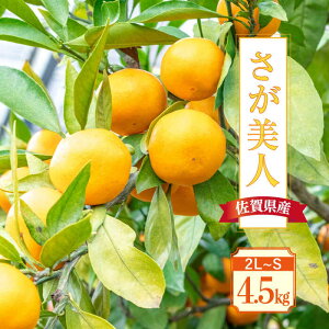 yӂ邳Ɣ[Łzy11{`1{zÂăLCȐFIꌧYulv4.5kg g샖/GT[N [FCC011]