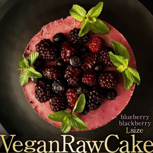 yӂ邳Ɣ[ŁzA100 Vegan Raw Cake Double berryiu[x[ubNx[^LTCYjisgp̃XC[c B[K[P[L g샖/ǂǂǂ
