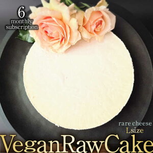 yӂ邳Ɣ[Łzy6ցzA100 Vegan Raw Cake CheeseiA`[Y^LTCYjisgp̃XC[c B[K[P[L g샖/ǂǂǂȂ [FCF039]