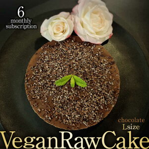yӂ邳Ɣ[Łzy6ցzA100 Vegan Raw Cake Chocolatei`R[g^LTCYjEEisgp̃XC[c B[K[P[L g샖/ǂǂǂȂ [FC