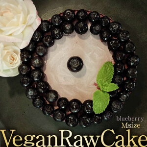 yӂ邳Ɣ[ŁzA100 Vegan Raw Cake Blueberryiu[x[/MTCYjEEisgp̃XC[c B[K[P[L g샖/ǂǂǂȂ [FCF053]