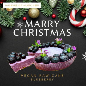 yӂ邳Ɣ[Łzy50zNX}X聙A100 Vegan Raw Cake blueberryiu[x[/MTCYjEEisgp̃XC[c B[K[P[L y1220`25͂