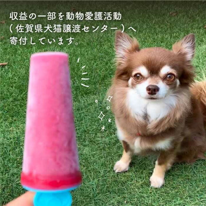 楽天市場 ふるさと納税 犬の無添加おやつ お砂糖不使用アイスキャンディいちご でこぽん ペットフード 吉野ヶ里町 わんこin食堂 Fcg015 佐賀県吉野ヶ里町