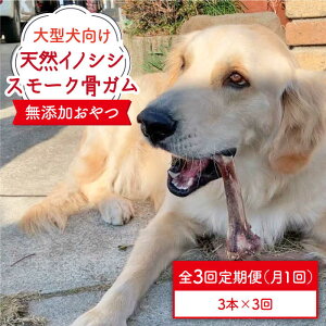 yӂ邳Ɣ[Łz3ց^VR̂̃X[NK3{ inH/g샖 [FCG070]