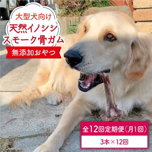 yӂ邳Ɣ[Łz12ց^VR̂̃X[NK3{ inH/g샖 [FCG072]