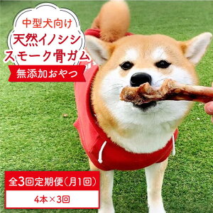 yӂ邳Ɣ[Łz3ց^VR̂̃X[NK4{ inH/g샖 [FCG073]