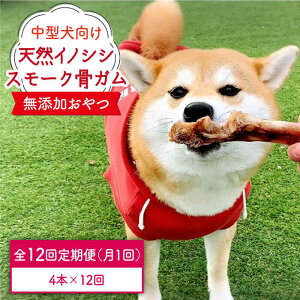 yӂ邳Ɣ[Łz12ց^VR̂̃X[NK4{ inH/g샖 [FCG075]