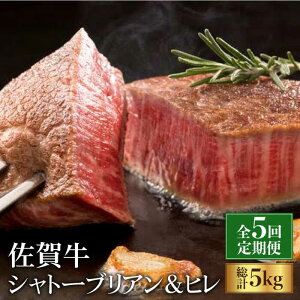 yӂ邳Ɣ[ŁzyS5/21ɂ͂zꋍ悭΂Zbg Vg[uA qXe[L e1,000g v5kg g샖/ܓcX |  јa a Ԑg Xe