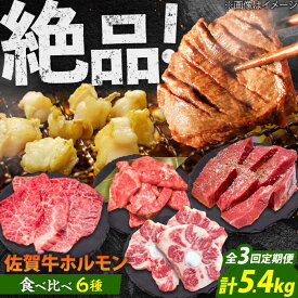 【ふるさと納税】【全3回定期便】佐賀牛6種食べ比べ！ ホルモンバラエティセット 5.4kg 4-5人前 タン・小腸など 吉野ヶ里町/やきとり紋次郎[FCJ104]