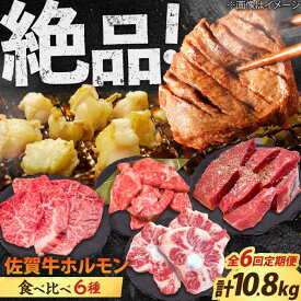 【ふるさと納税】【全6回定期便】佐賀牛6種食べ比べ！ ホルモンバラエティセット 10.8kg 4-5人前 タン・小腸など 吉野ヶ里町/やきとり紋次郎[FCJ105]