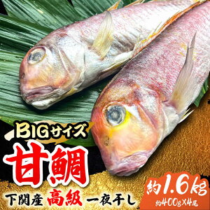 yӂ邳Ɣ[Łz傫TCYIÑ̈銱4i1400gjg샖/₫Ƃ䎟Y [FCJ046]